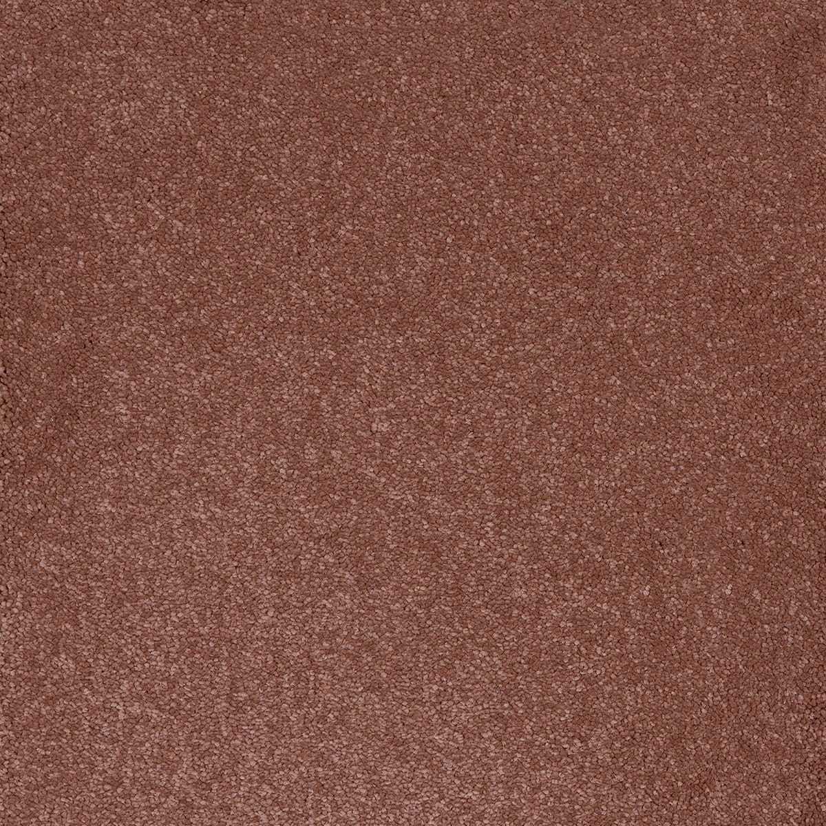 Aries 10mm Polypropylene Carpet - Blush 86