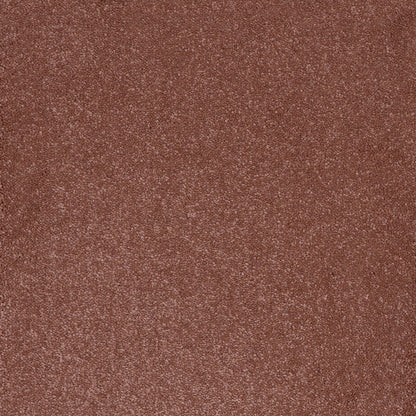Aries 10mm Polypropylene Carpet - Blush 86