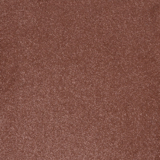 Aries 10mm Polypropylene Carpet - Blush 86