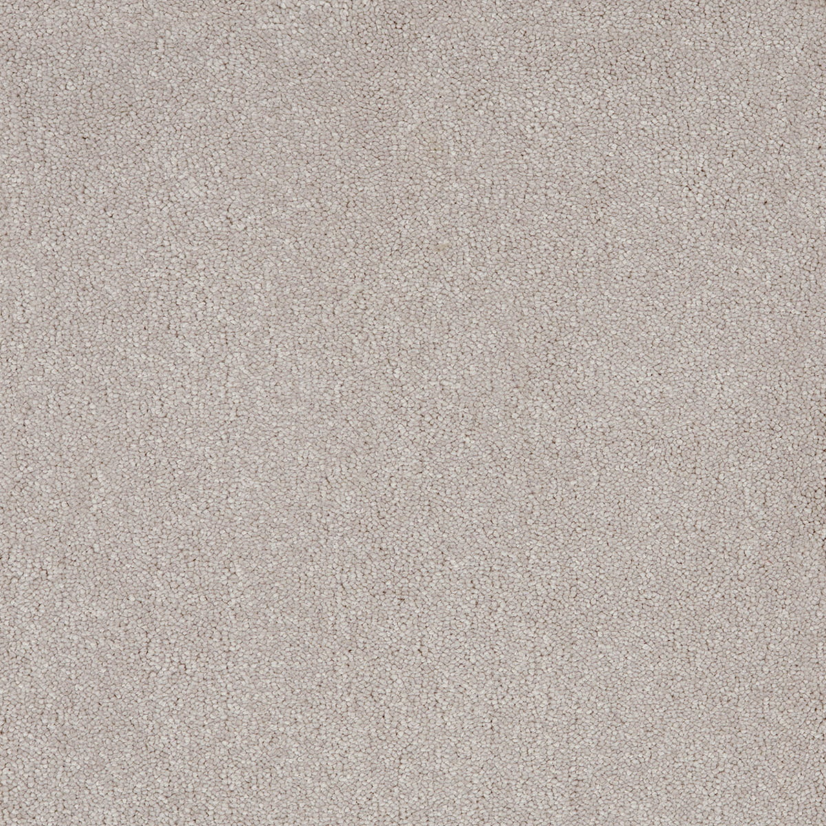 Aries 10mm Polypropylene Carpet - Silver Lining 90