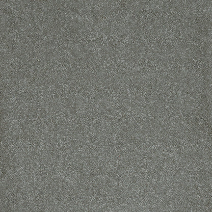 Aries 10mm Polypropylene Carpet - Steel 95