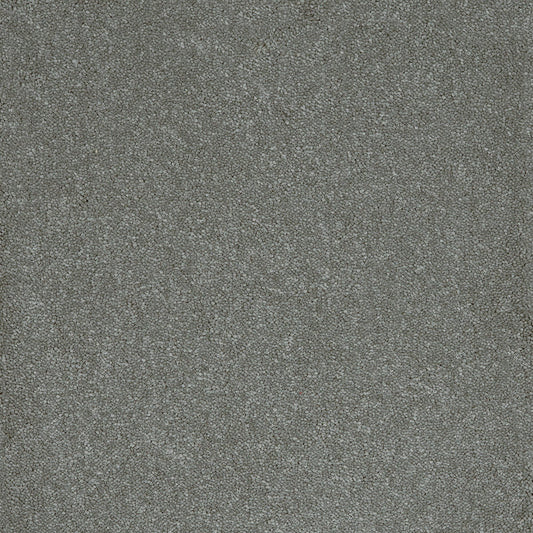 Aries 10mm Polypropylene Carpet - Steel 95