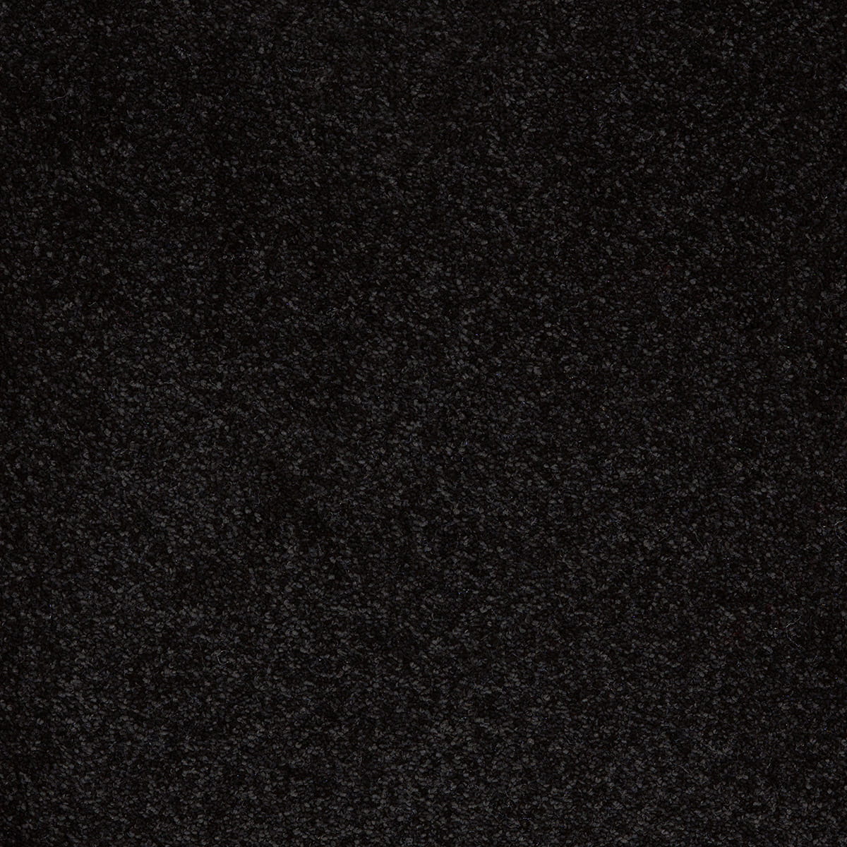Aries 10mm Polypropylene Carpet - Jack Black 99