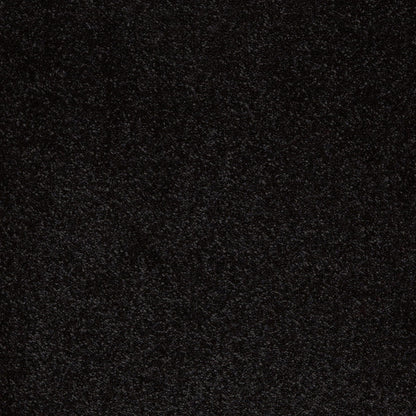 Aries 10mm Polypropylene Carpet - Jack Black 99
