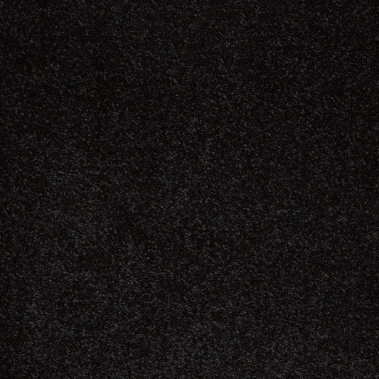 Aries 10mm Polypropylene Carpet - Jack Black 99