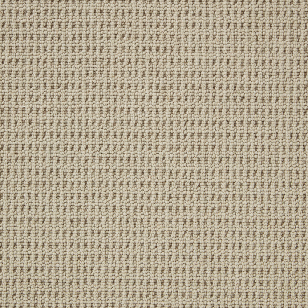 Pimlico Wool & PP Mix Heavy Domestic Carpet - Lace