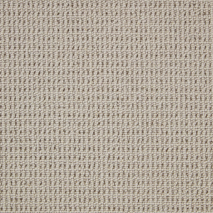 Pimlico Wool & PP Mix Heavy Domestic Carpet - Pavilion