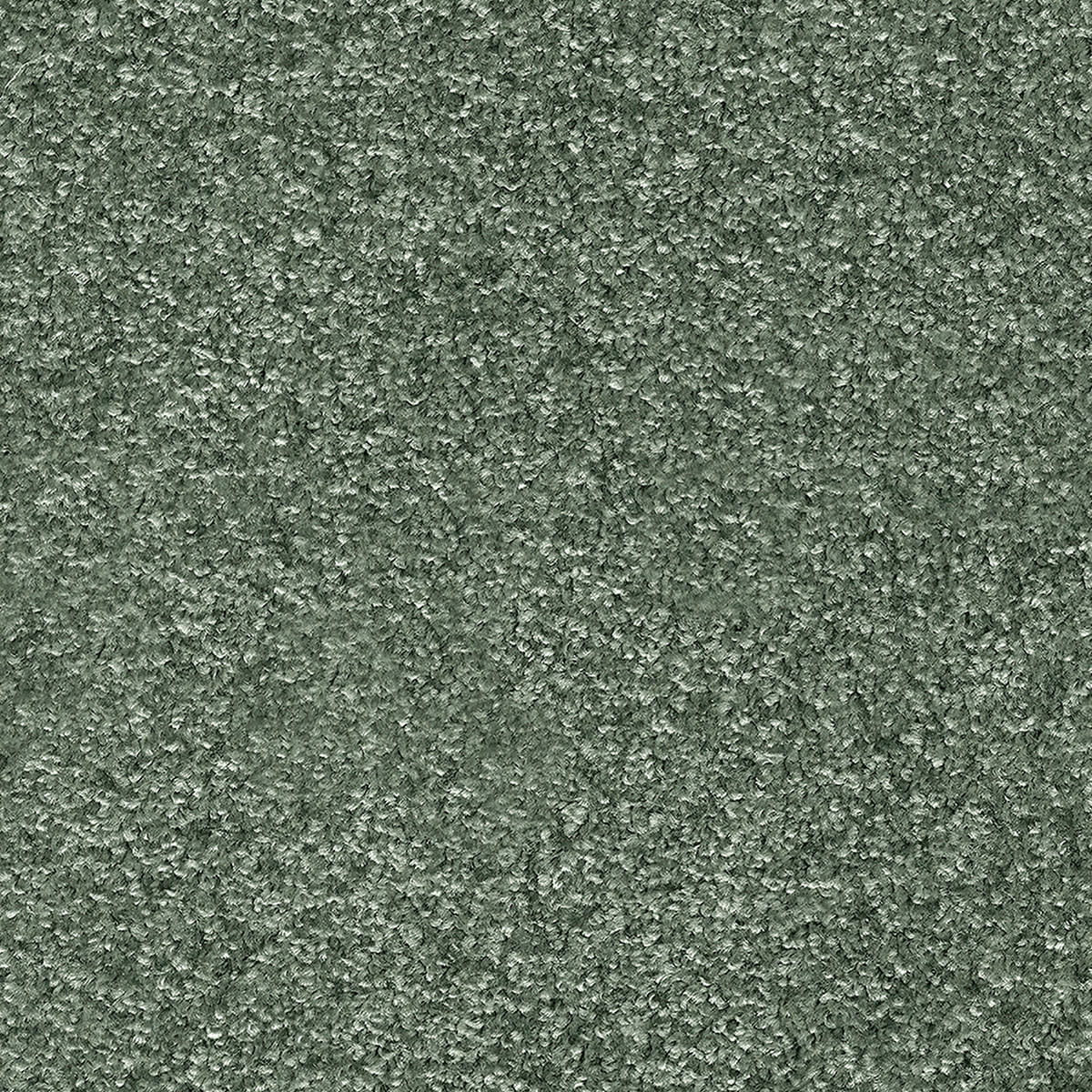 Indus 12mm Polyester Carpet - 27