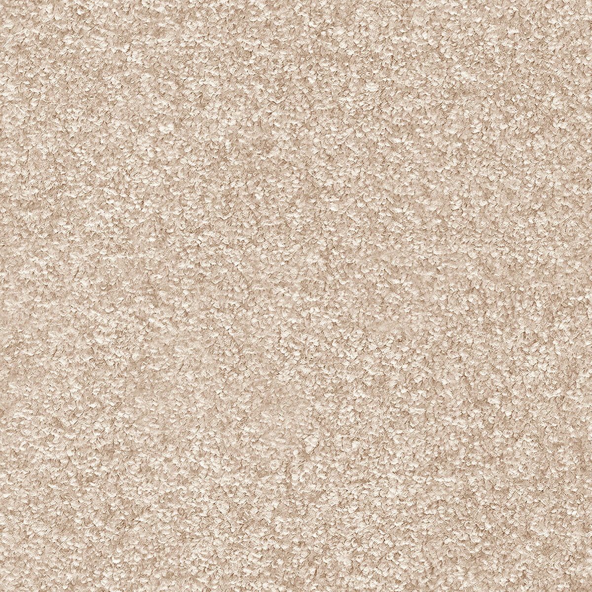Indus 12mm Polyester Carpet - 30