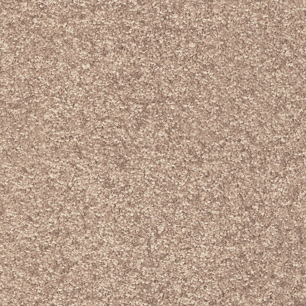 Indus 12mm Polyester Carpet - 34