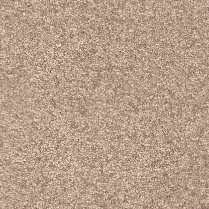 Indus 12mm Polyester Carpet - 34