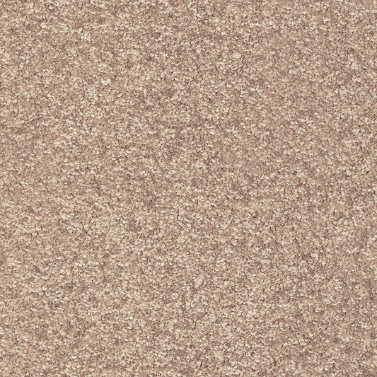 Indus 12mm Polyester Carpet - 34