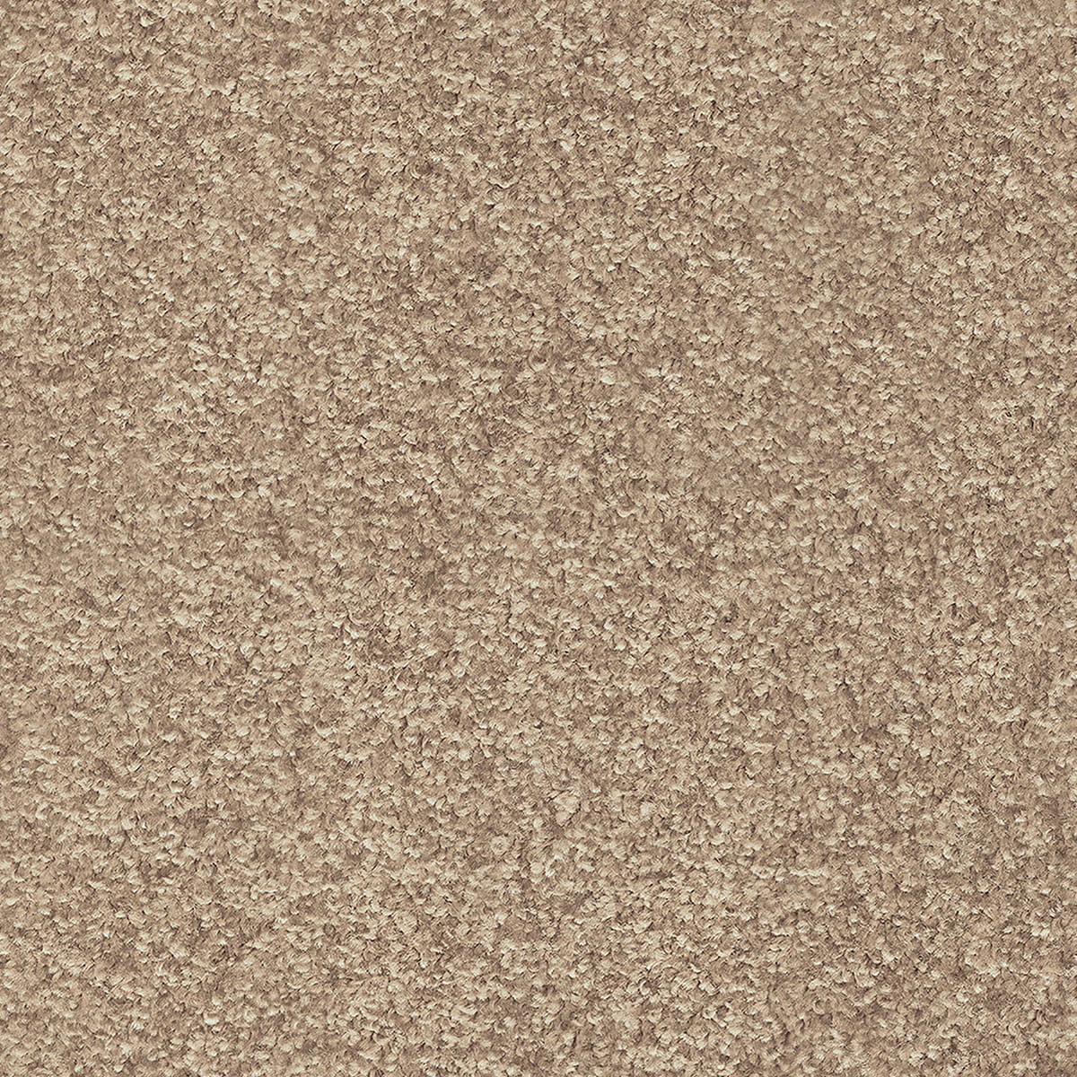 Indus 12mm Polyester Carpet - 35