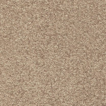 Indus 12mm Polyester Carpet - 35