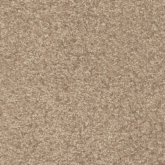 Indus 12mm Polyester Carpet - 35
