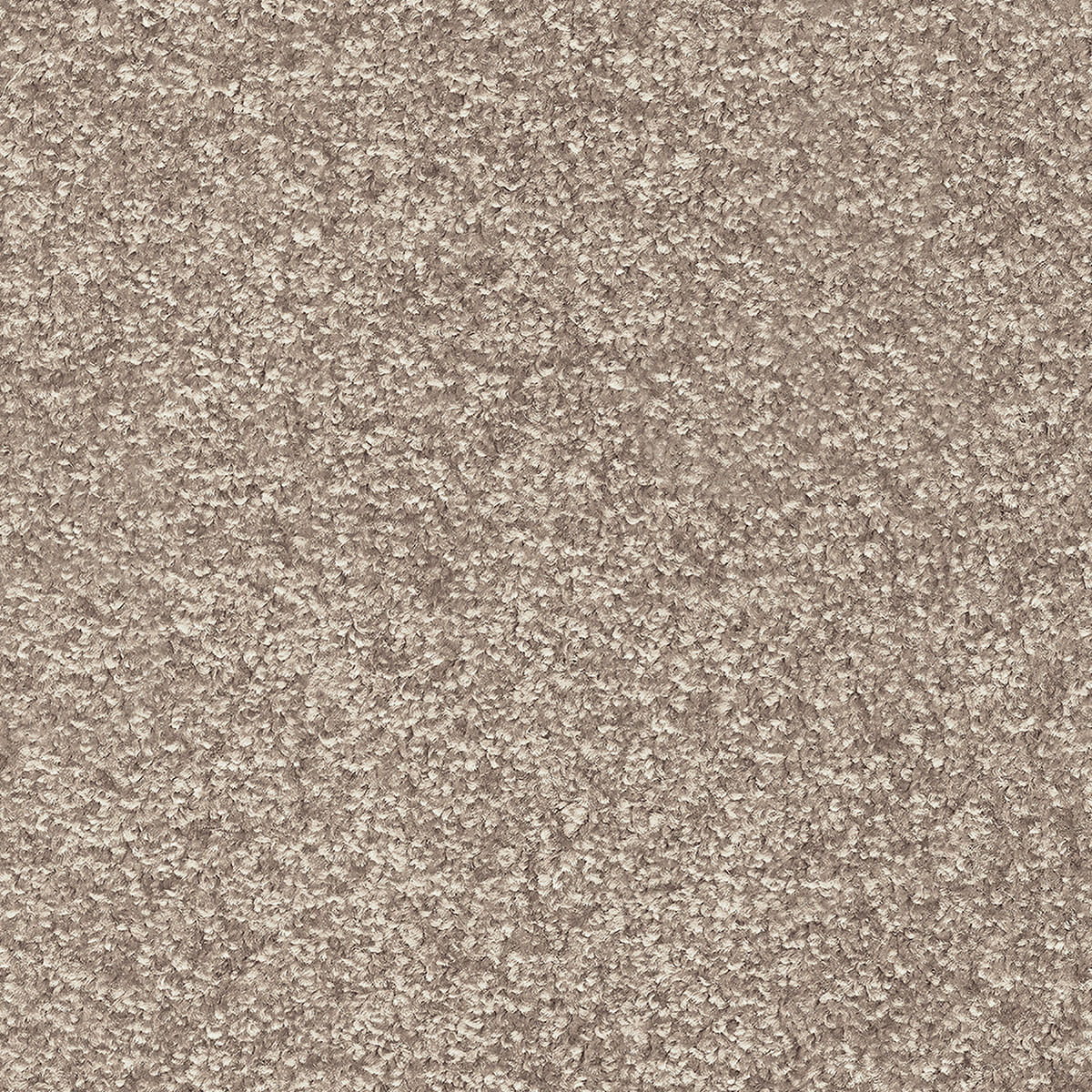 Indus 12mm Polyester Carpet - 36