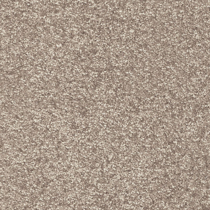 Indus 12mm Polyester Carpet - 36