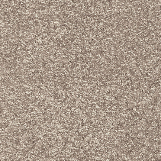 Indus 12mm Polyester Carpet - 36
