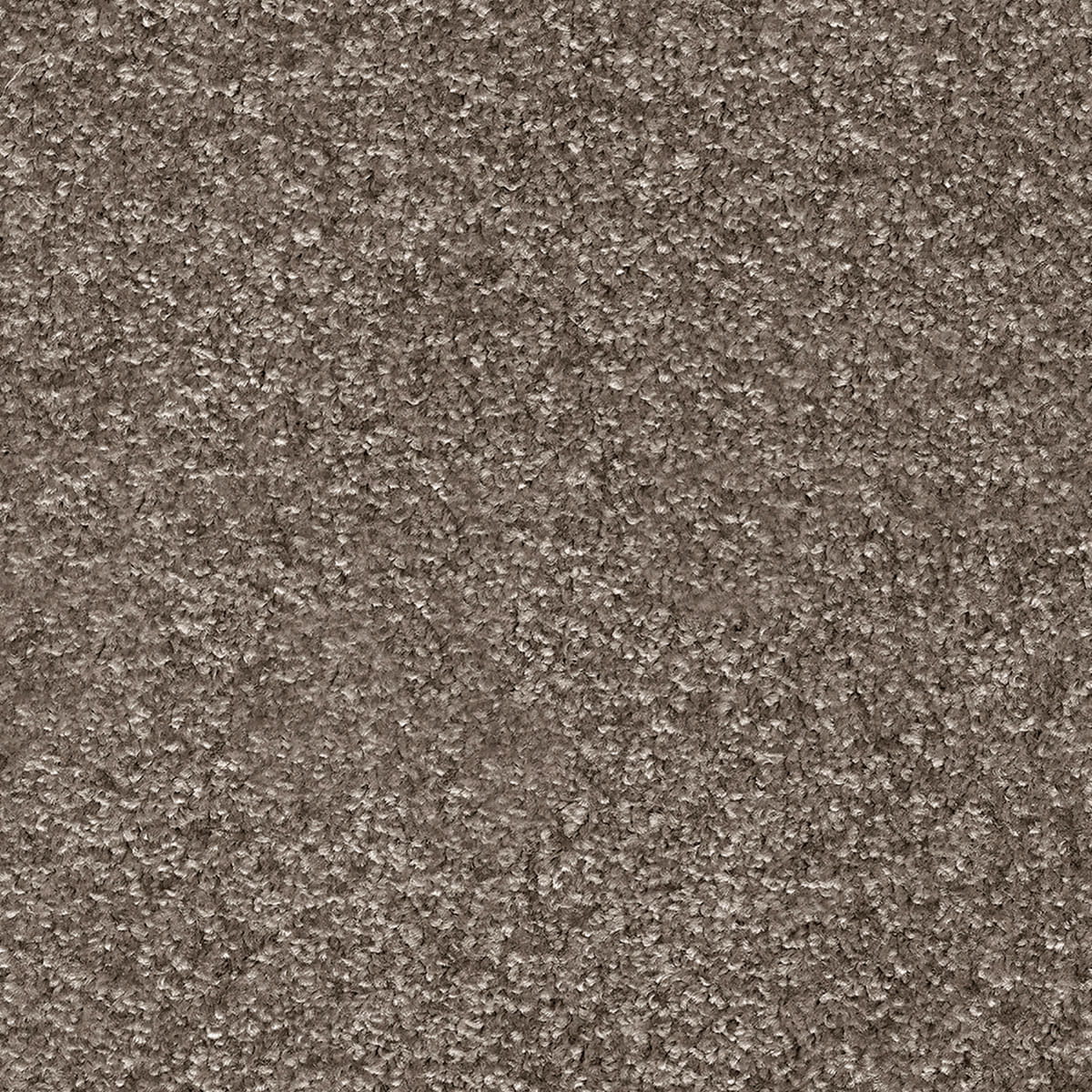 Indus 12mm Polyester Carpet - 40