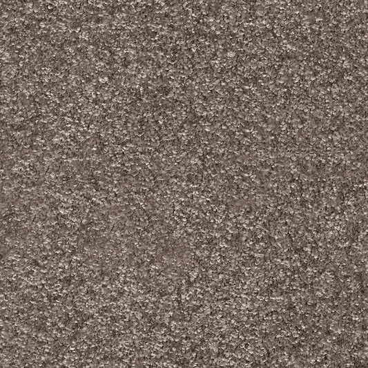 Indus 12mm Polyester Carpet - 40