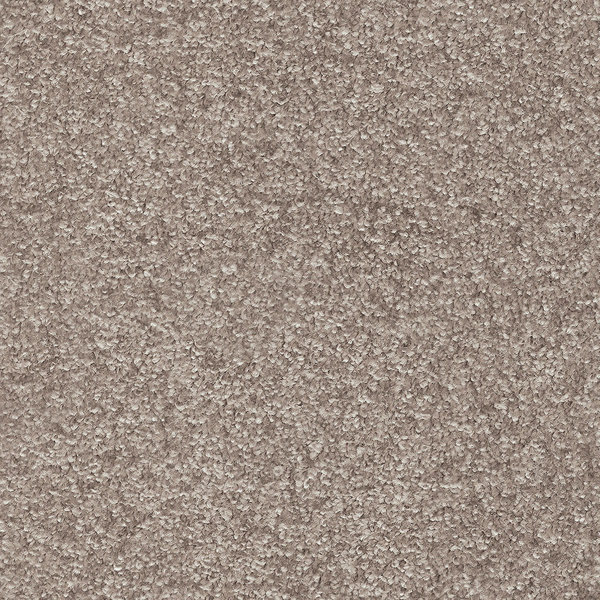 Indus 12mm Polyester Carpet - 49