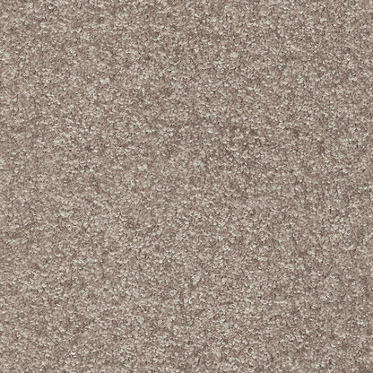 Indus 12mm Polyester Carpet - 49
