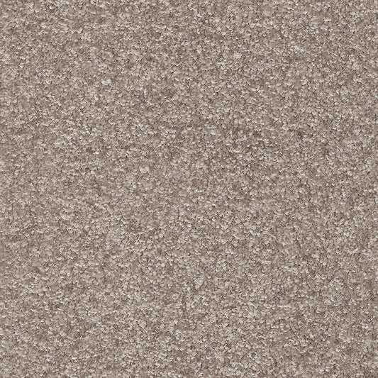 Indus 12mm Polyester Carpet - 49
