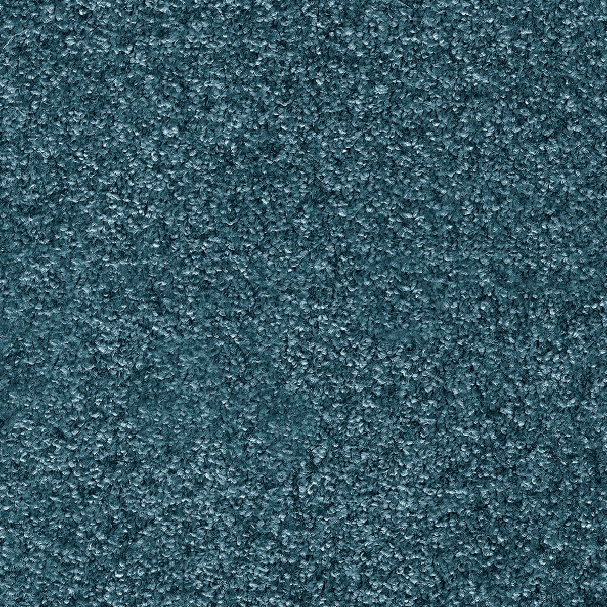 Indus 12mm Polyester Carpet - 75