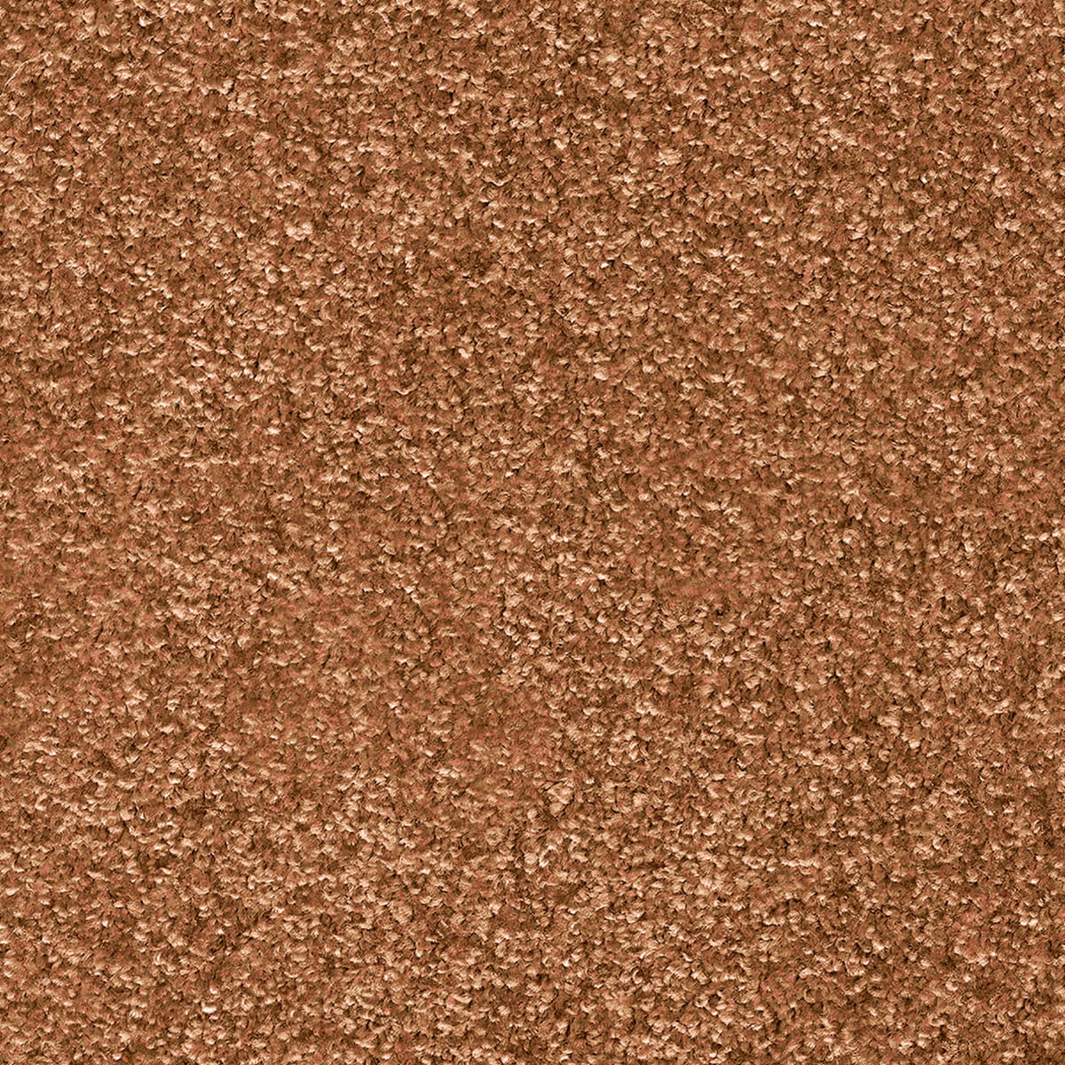 Indus 12mm Polyester Carpet - 82