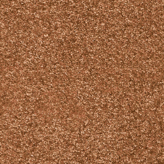 Indus 12mm Polyester Carpet - 82