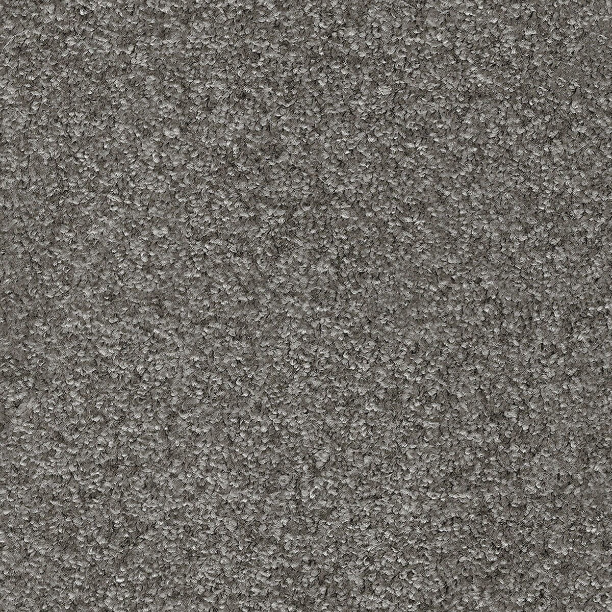 Indus 12mm Polyester Carpet - 95