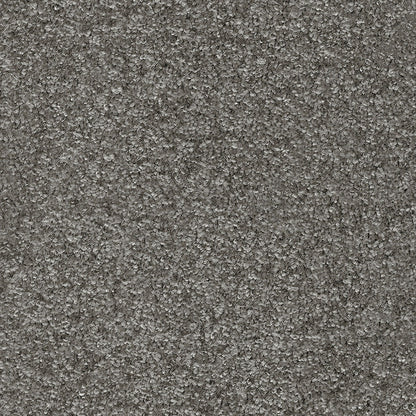 Indus 12mm Polyester Carpet - 95