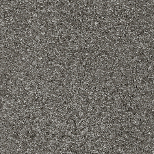 Indus 12mm Polyester Carpet - 95