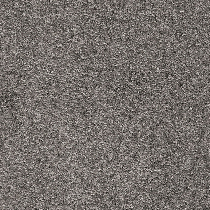 Indus 12mm Polyester Carpet - 98