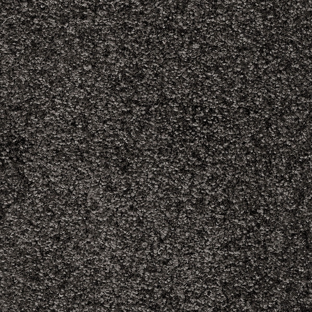 Indus 12mm Polyester Carpet - 99