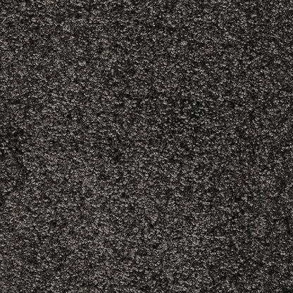 Indus 12mm Polyester Carpet - 99