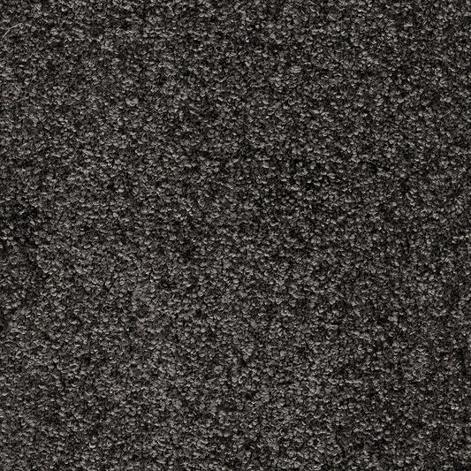 Indus 12mm Polyester Carpet - 99