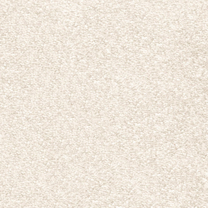 Magnificus 20mm Olefin Carpet - Cream 03
