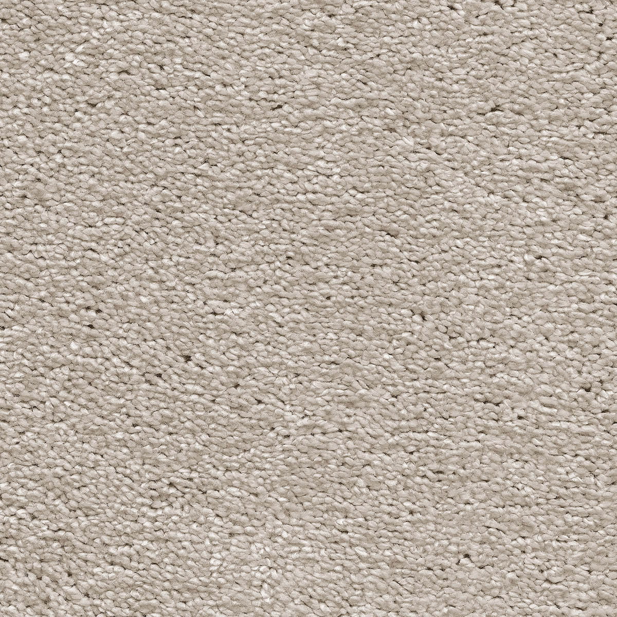 Magnificus 20mm Olefin Carpet - Shortbread 31