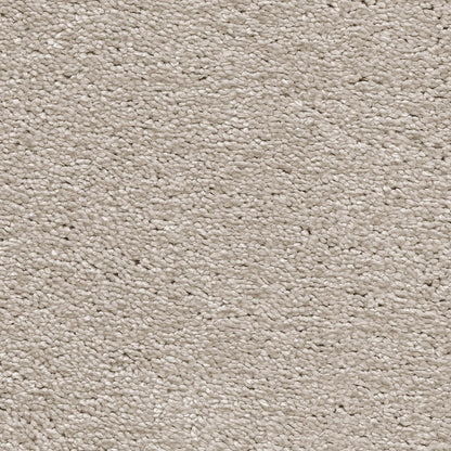 Magnificus 20mm Olefin Carpet - Shortbread 31