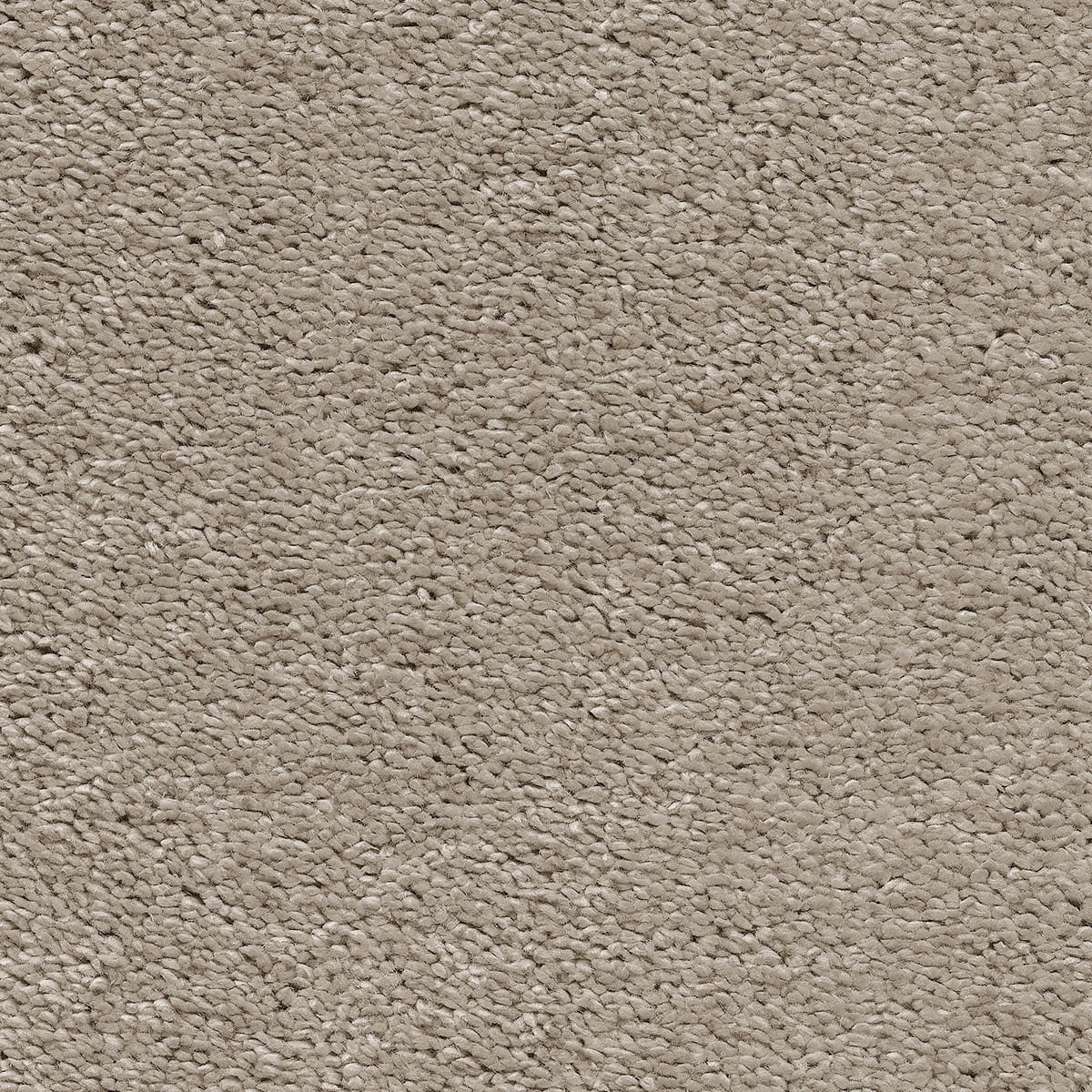 Magnificus 20mm Olefin Carpet - Sandcastle 35