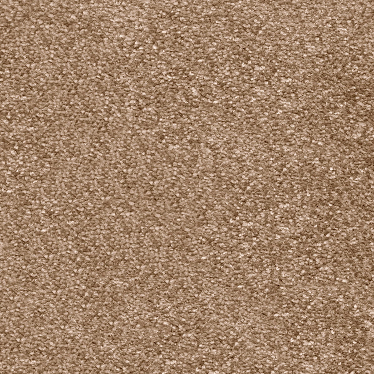 Magnificus 20mm Olefin Carpet - Latte 40