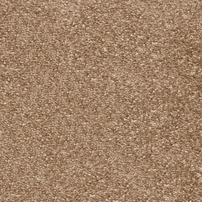 Magnificus 20mm Olefin Carpet - Latte 40