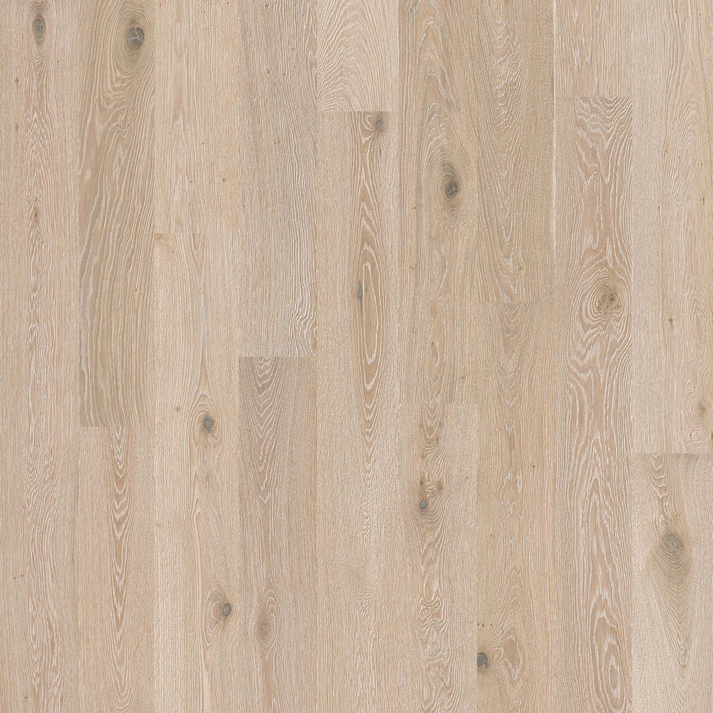 Recycled Leather Flooring Panels - Limed French Oak