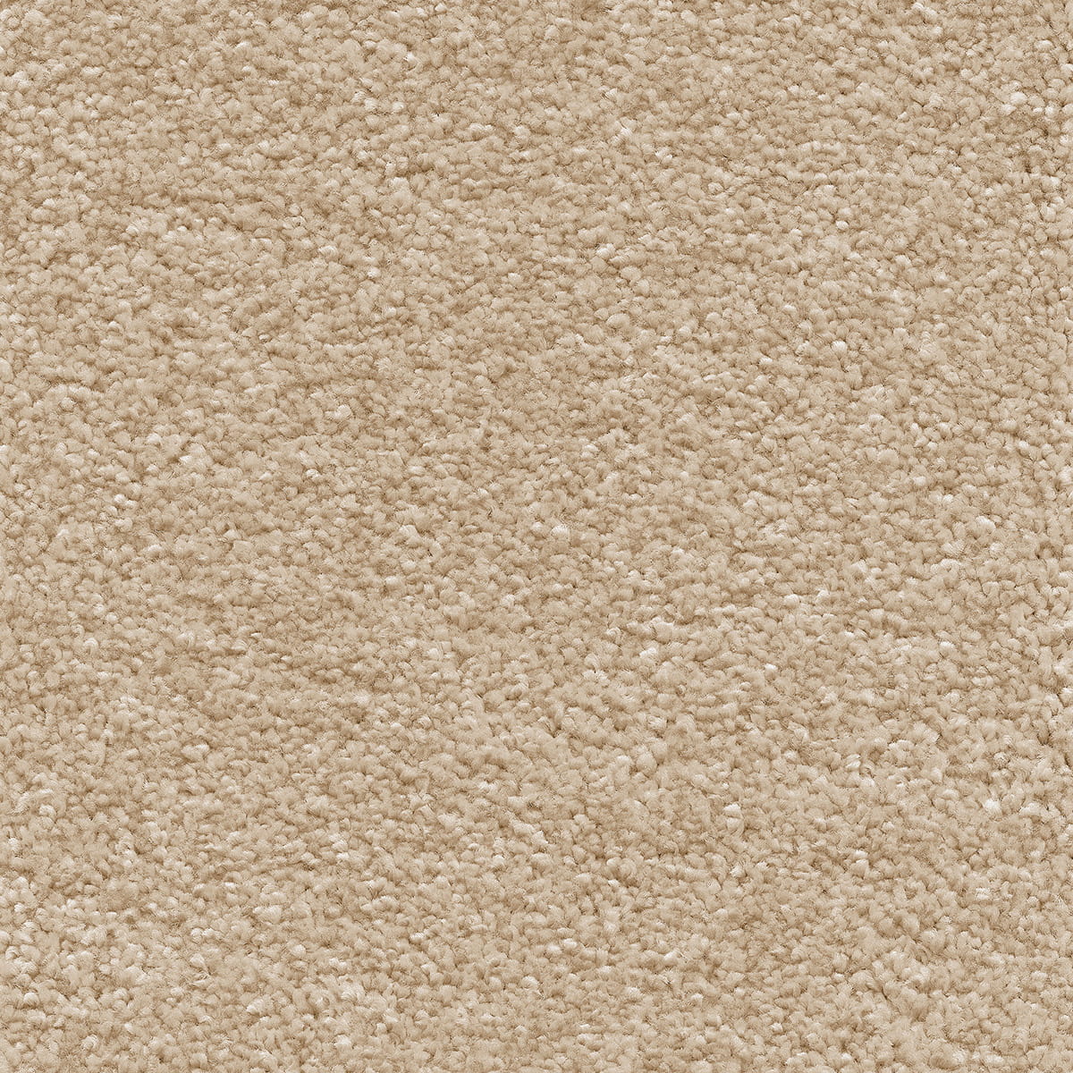 Orion 15mm Olefin Carpet - Cream 05