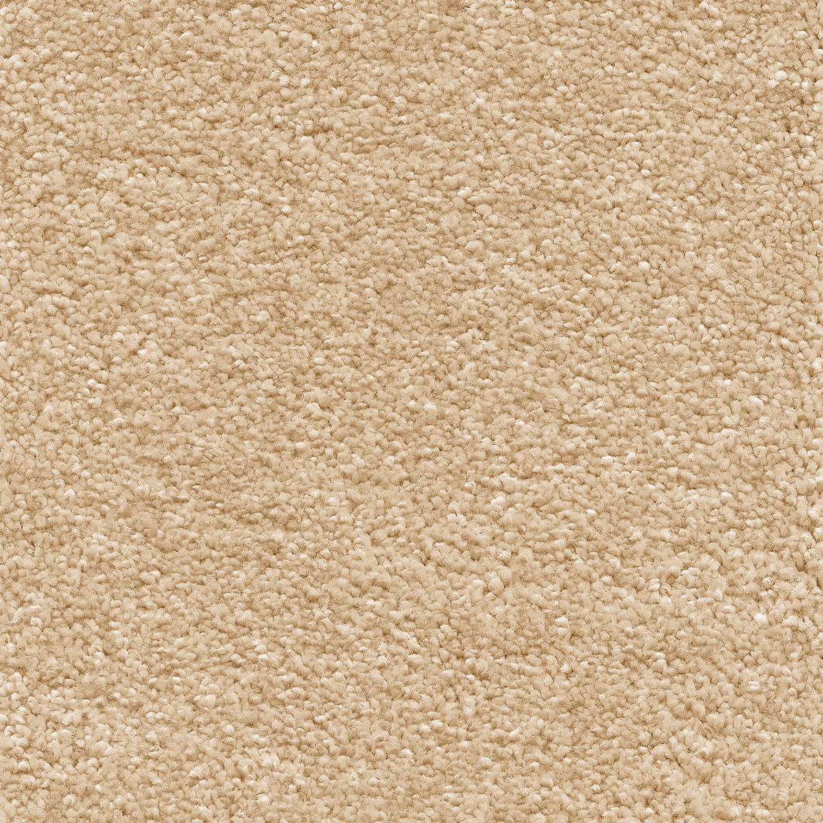 Orion 15mm Olefin Carpet - Blanched White 30