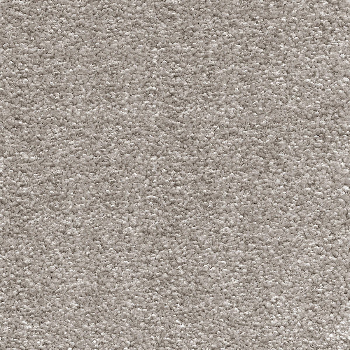 Orion 15mm Olefin Carpet - Silver Chalice 90