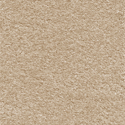 Sirius 18mm Olefin Carpet - Cream 05