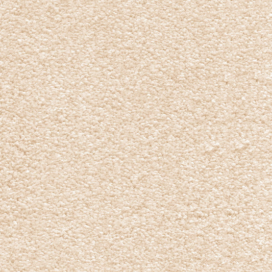 Sirius 18mm Olefin Carpet - Latte 36