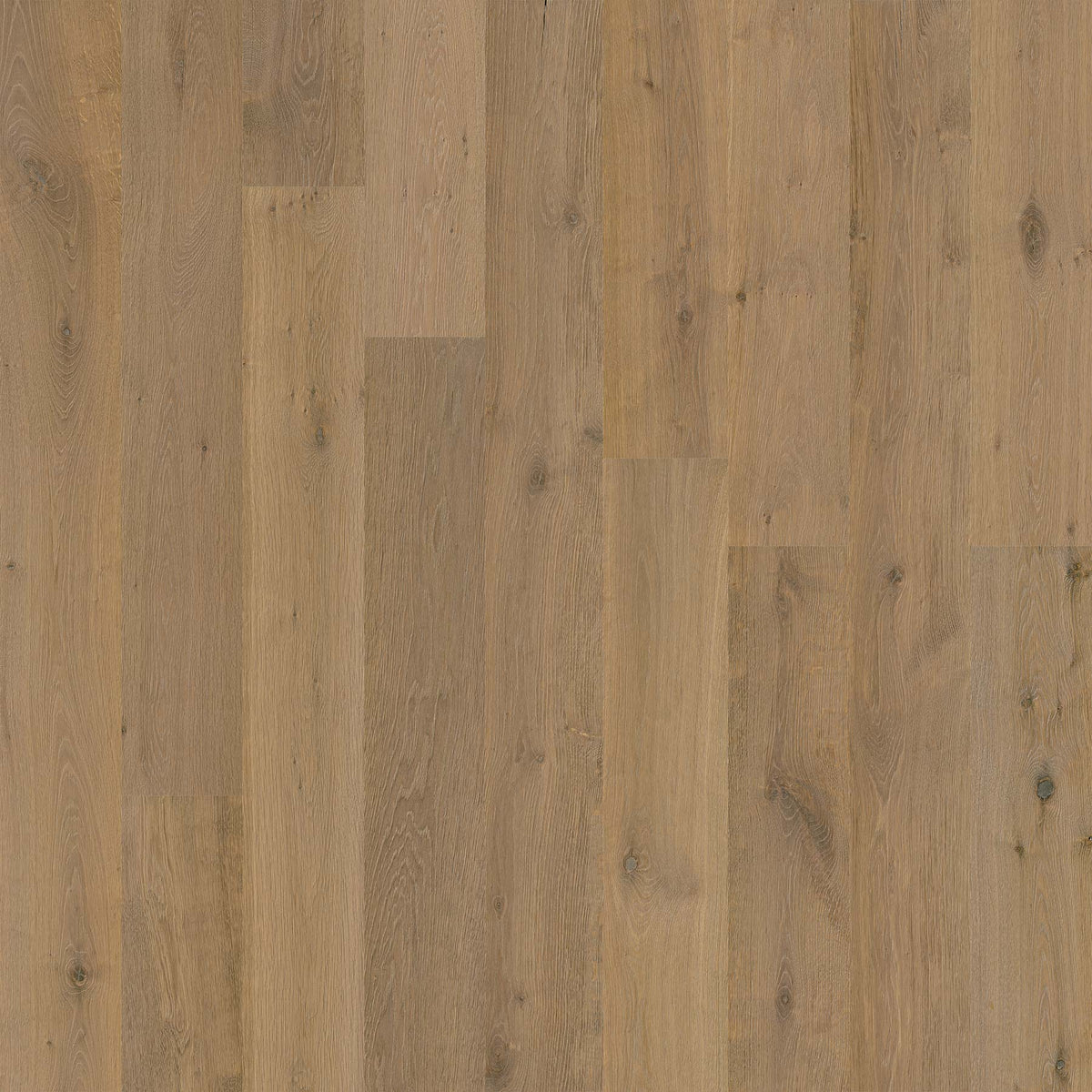 Recycled Leather Flooring Panels - Cool Brown French Oak